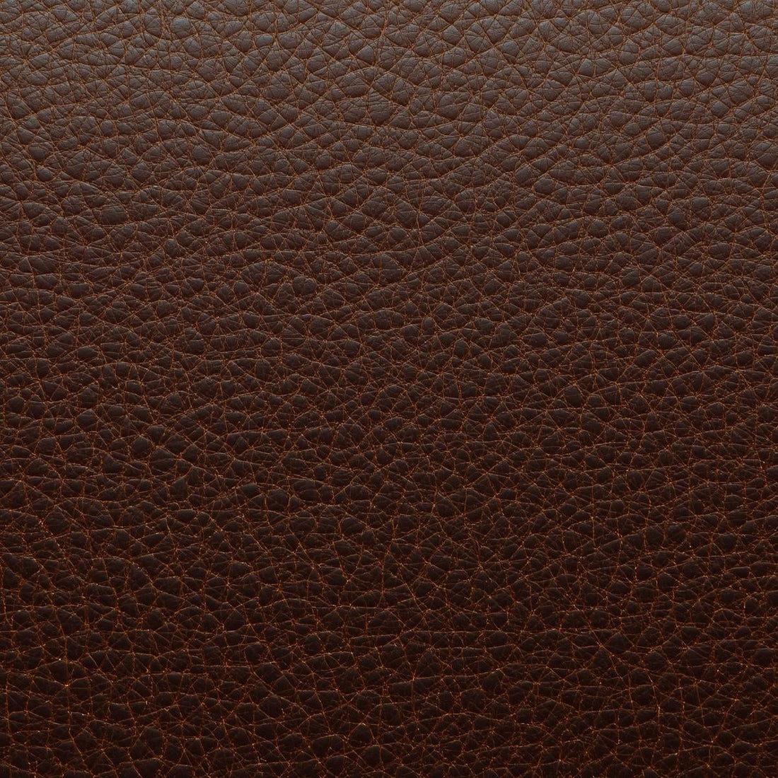 Leather Fabric 